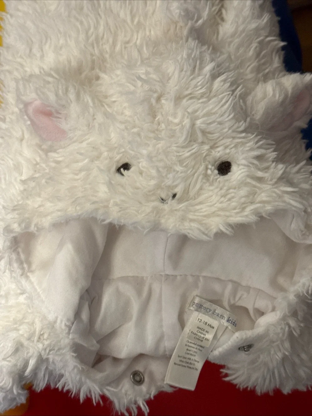 Pottery Barn Kids this adorable